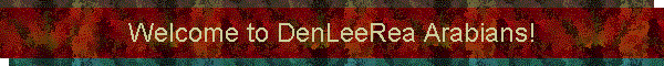 Welcome to DenLeeRea Arabians!
